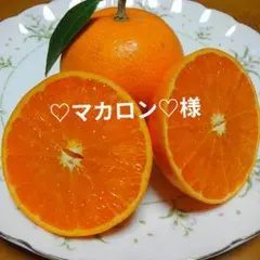 ♡マカロン♡様専用　　　せとか