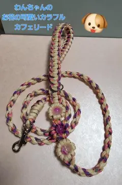 小型犬さん～中型犬さんのお花の可愛いカラフルカフェリード　82