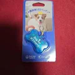 Item thumbnail for item 79fda047-867e-49f2-b43f-d12793379f43