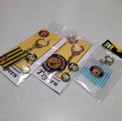 Item thumbnail for item b93ae3bc-123b-4081-ac88-81ad29d5393d