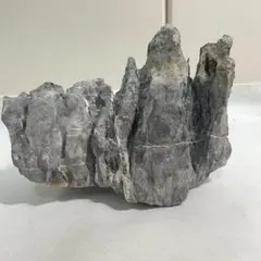 超希少 超特大 揖斐石 龍眼石 竜眼 龍岩 竜岩 付け石 景石 水石 盆栽鉢