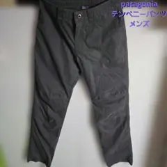 Patagonia パタゴニア テンペニー パンツ メンズのサムネイル