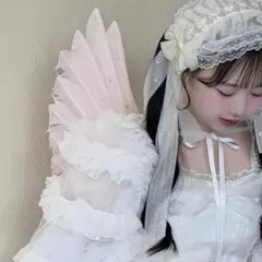 専用商品になります^ᴗ ̫ ᴗ^♩
