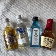 新品】お酒ミニボトルセット - メルカリ
