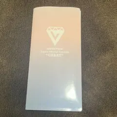 SEVENTEEN ファンクラブ 更新 特典 チケットケース