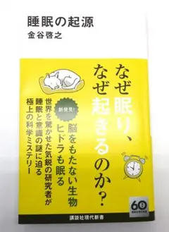 Item thumbnail for item 1168b26f-62b0-48b4-89a3-2cd16515f0a8