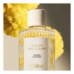 【Chloé】アトリエ デ フルール ハーバ ミモザEDP 150ml残85%のサムネイル