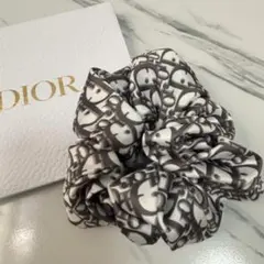 Dior ロゴプリント ノベルティシュシュのサムネイル