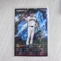 プロ野球チップス シークレット キラ