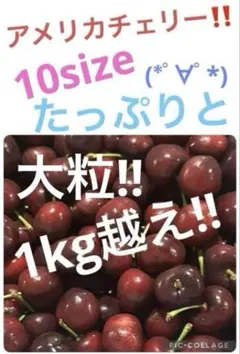 アメリカンチェリー　１kg越えのサムネイル