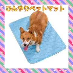 Item thumbnail for item 4749fd73-0081-45a8-8637-ccd3a51839f7