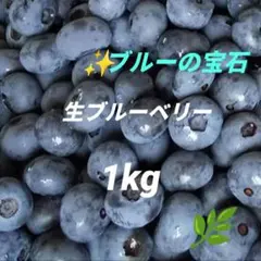 ブルーベリー＊生ブルーベリー＊完熟ブルーベリー＊摘みたて＊農薬不使用のサムネイル