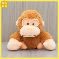 座敷わらびーちゃん　ぴんくわらびーちゃん Amazon.co.jp: 座敷わらびーちゃん ぬいぐるみ（赤） : おもちゃ