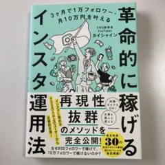 革命的に稼げるインスタ運用法