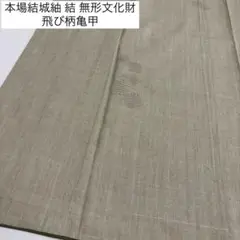 本場結城紬 結 無形文化財 飛び柄亀甲 真綿紬 正絹 AK-8416