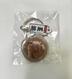 大相撲 王鵬 ダブルチャームキーホルダー