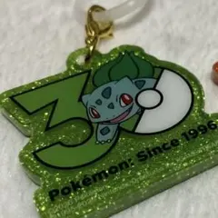 ポケモン 30周年 ロゴマスコット フシギダネ ヒノアラシ