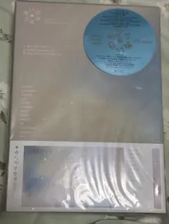 SEVENTEEN あいのちから