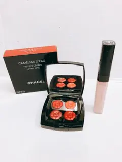 CHANEL リップカラー・コンシーラー　#260139