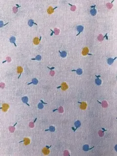 Item thumbnail for item 41b942ba-45f8-41ec-bf06-ea68050dd1be