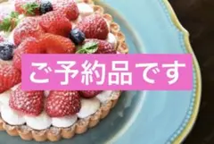 ご予約品です