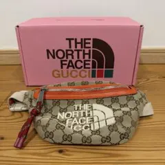 【入手困難　超美品】THE NORTH FACE x GUCCI コラボ