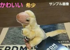 【レア】福井県立恐竜博物館限定 フクイベナートル ぬいぐるみ キーホルダー 1点のサムネイル