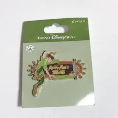 【新品】 東京ディズニーシー ファンタジースプリングス ピンバッジ