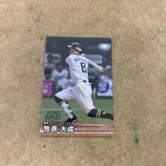 カルビープロ野球チップス2026カード　牧原大成