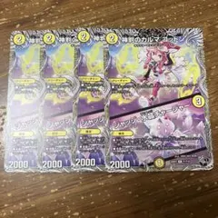 神判のカルマコットン　4枚