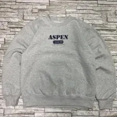 90s ヴィンテージ スウェット ASPEN コロラド フロントロゴ グレー