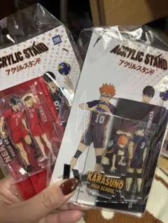 【最終値下げ】 ハイキュー！烏野・音駒 アクリルスタンドセット