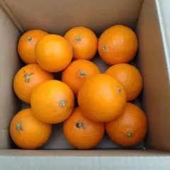 みーちゃん様専用