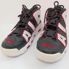 NIKE　ナイキ エア モア アップテンポ 96　29cm:のサムネイル