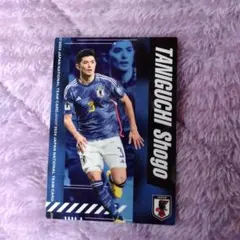 日本代表チップス