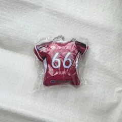 ファジアーノ岡山 ユニフォームクッション 西川潤