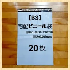 B3宅配ビニール袋 20枚