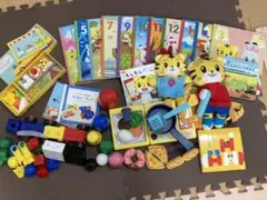 こどもちゃれんじぷち、ポケットまとめて