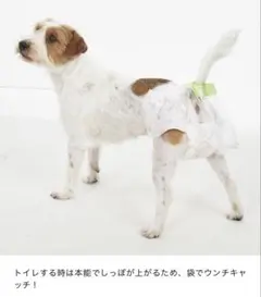 2025年最新】うんぽパンツ sの人気アイテム - メルカリ