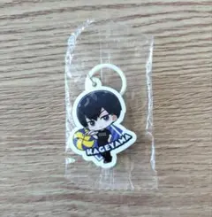 くら寿司 ハイキュー!! ビッくらポン めじるしチャーム 影山飛雄 烏野