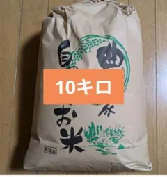 10キロ　白米　コシヒカリ　長野県産　令和6年のサムネイル