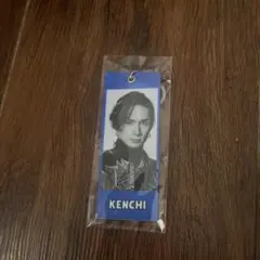 Item thumbnail for item 9a82abed-9f67-4562-8212-325505fdb79a