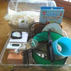 Item thumbnail for item 04b3f025-8e70-4efb-9a2b-df546970ceca