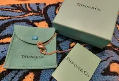 Tiffany & Co.　インフィニティー　∞　ネックレスのサムネイル