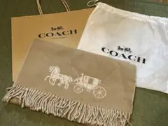 Item thumbnail for item 7e3fc676-1805-405c-a5da-51bc6609119d