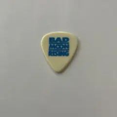 RADWIMPS 15周年 グッズ ピック - メルカリ