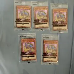 遊戯王　ブラック・マジシャン・ガール 　5枚　ハイチュウ