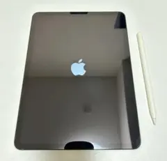 iPad Pro 2018 セルラー 256GB スペースブラック ジャンク 2025年最新】ipad pro ジャンク 11インチの人気アイテム - メルカリ