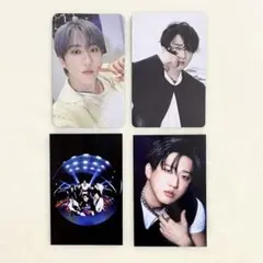 StrayKids スキズ チャンビン トレカ DO IT KARMA FC特典
