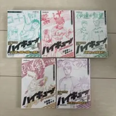 ハイキュー!! 小説 5巻セット ショーセツバン!!